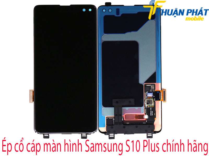 Ép cổ cáp màn hình Samsung S10 Plus tại Thuận Phát Mobile