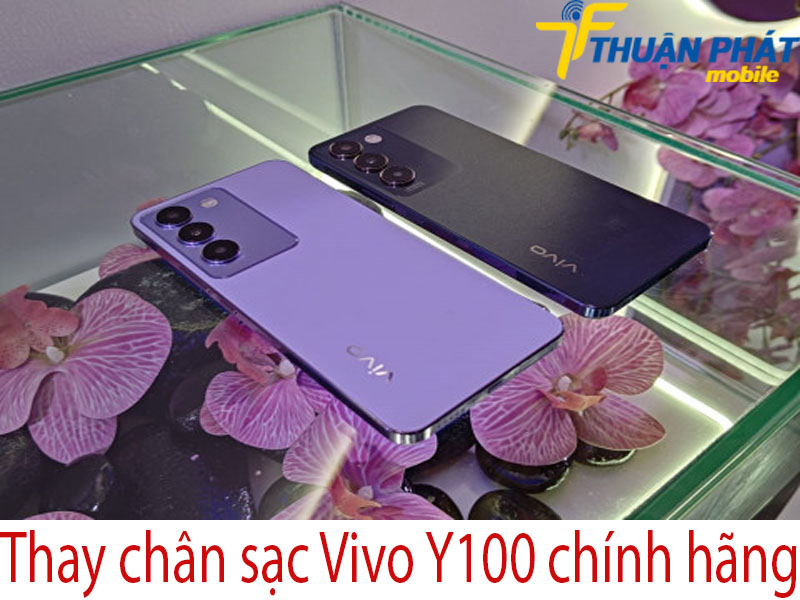 Thay chân sạc Vivo Y100 chính hãng tại Thuận Phát Mobile