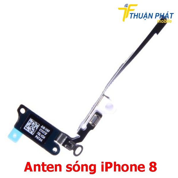 Anten sóng iPhone 8