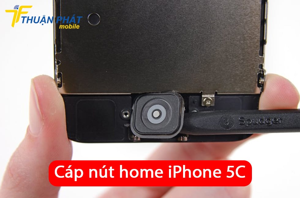 Cáp nút home iPhone 5C