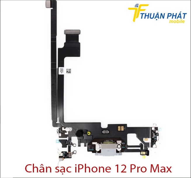 Chân sạc iPhone 12 Pro Max