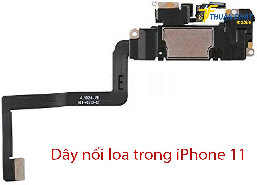 Dây nối loa trong iPhone 11 