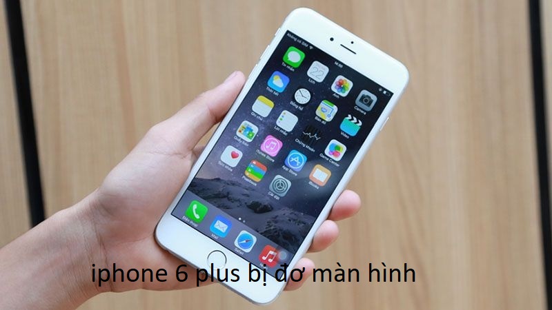 iphone 6 plus bị đơ màn hình