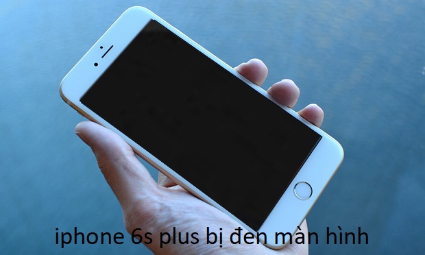 iphone 6s plus bị đen màn hình
