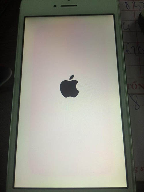 Lỗi ám hồng trên màn hình iphone 6