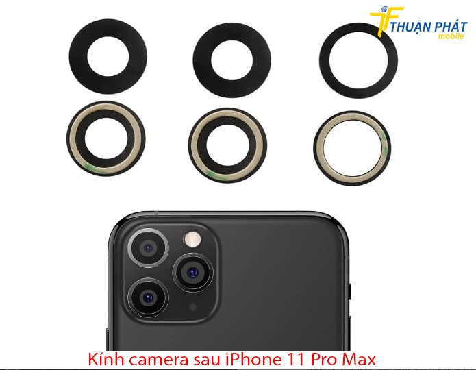 Kính camera sau iPhone 11 Pro Max