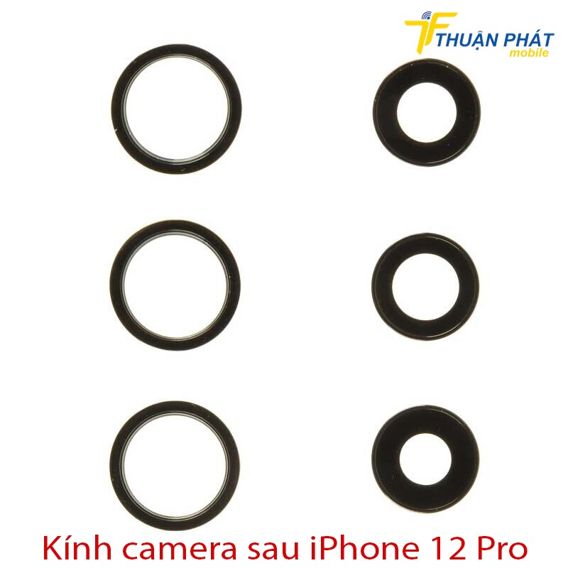 Kính camera sau iPhone 12 Pro