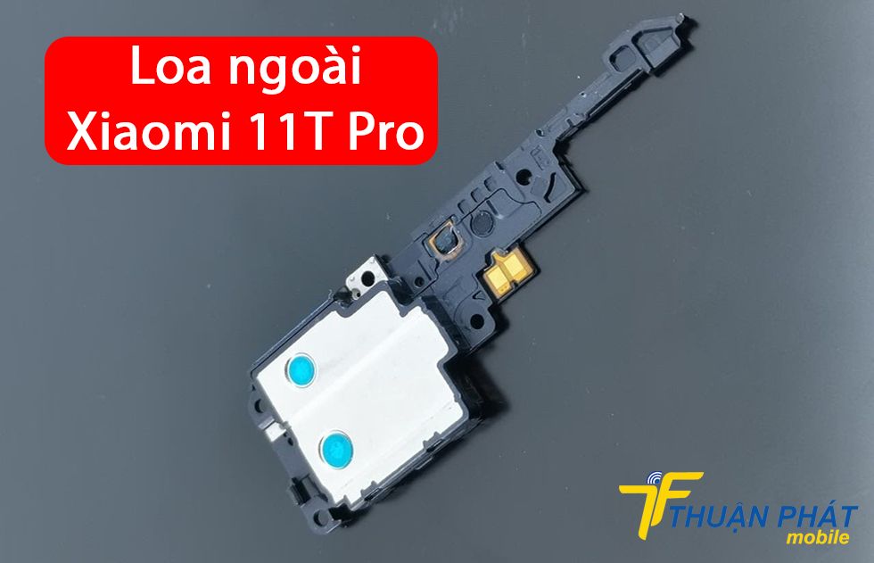 Loa ngoài Xiaomi 11T Pro