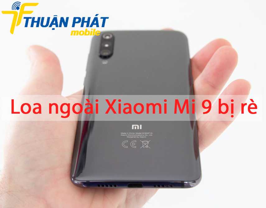 Loa ngoài Xiaomi Mi 9 bị rè