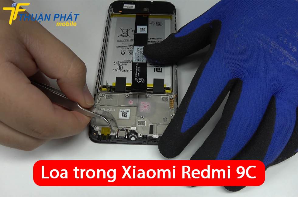 Loa trong Xiaomi Redmi 9C