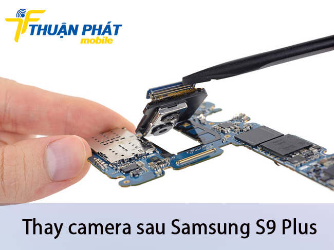 Thay camera sau Samsung S9 Plus tại Thuận Phát Mobile