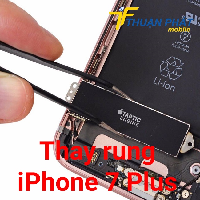 Thay rung iPhone 7 Plus