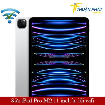 sua-ipad-pro-m2-11-inch-bi-loi-wifi