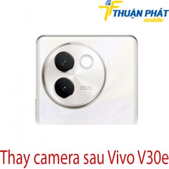 thay-camera-sau-Vivo-V30e