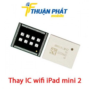 thay-ic-wifi-ipad-mini-2