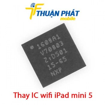 thay-ic-wifi-ipad-mini-5