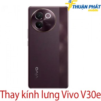 thay-kinh-lung-Vivo-V30e