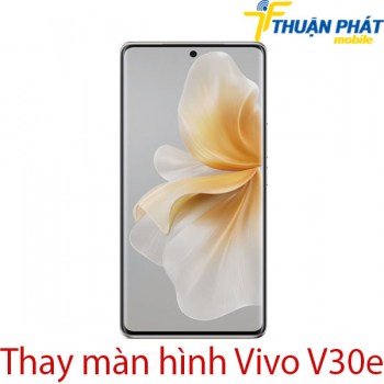 thay-man-hinh-Vivo-V30e