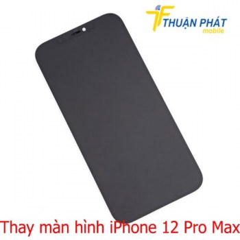 thay-man-hinh-iphone-12-pro-max