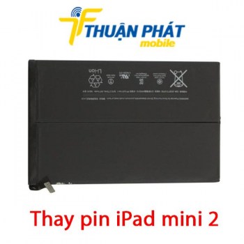 thay-pin-ipad-mini-2