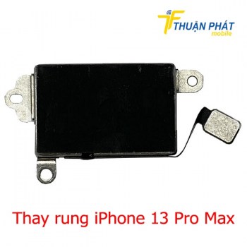 thay-rung-iphone-13-pro-max