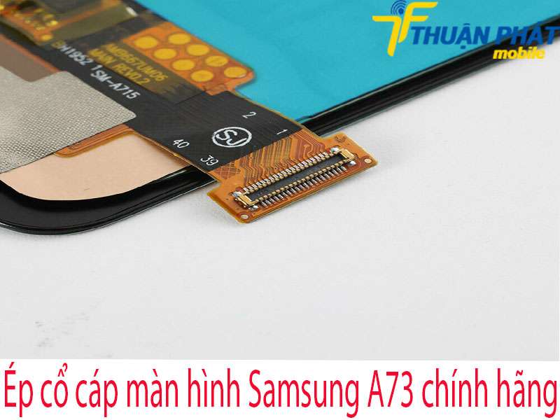 Ép cổ cáp màn hình Samsung A73 tại Thuận Phát Mobile