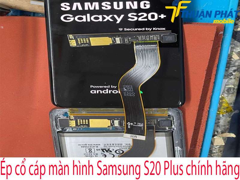 Ép cổ cáp màn hình Samsung S20 Plus tại Thuận Phát Mobile