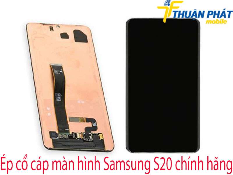 Ép cổ cáp màn hình Samsung S20 tại Thuận Phát Mobile