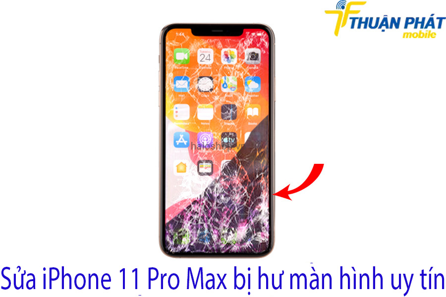 Sửa iPhone 11 Pro Max bị hư màn hình uy tín