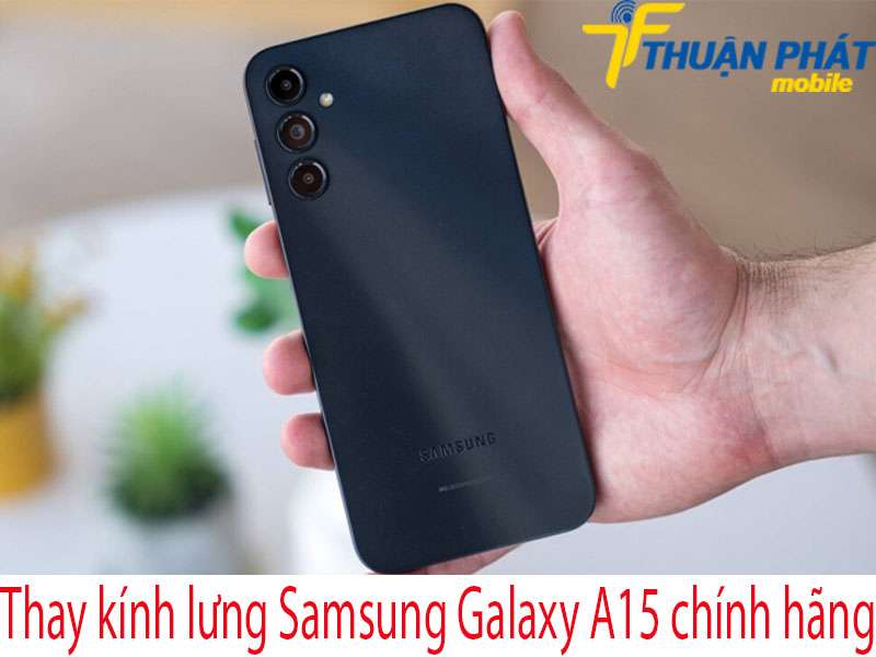 Thay kính lưng Samsung Galaxy A15 tại Thuận Phát Mobile