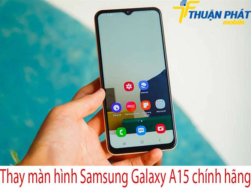 Thay màn hình Samsung Galaxy A15 tại Thuận Phát Mobile