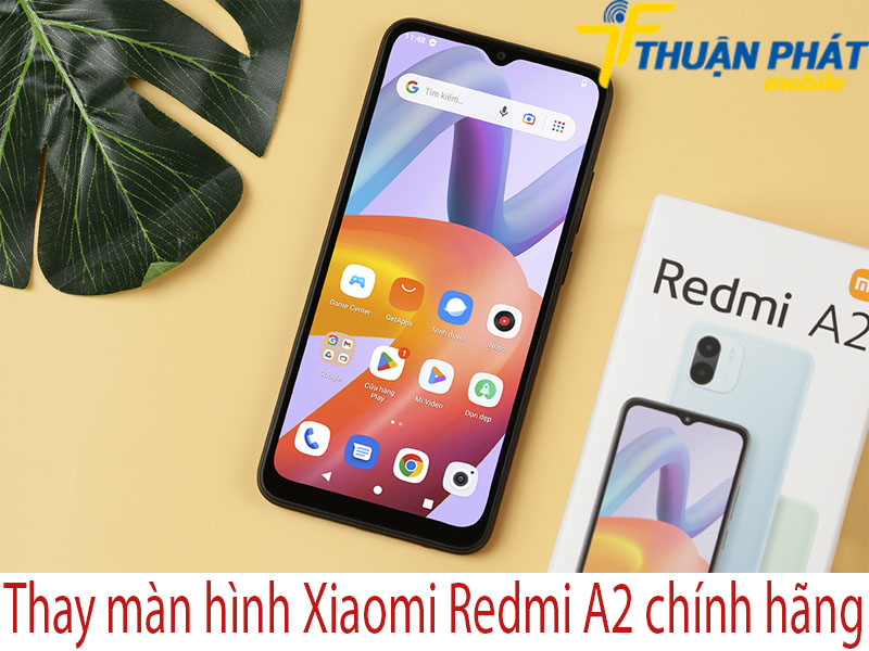 Thay màn hình Xiaomi Redmi A2 tại Thuận Phát Mobile 