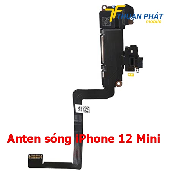 Anten sóng iPhone 12 Mini