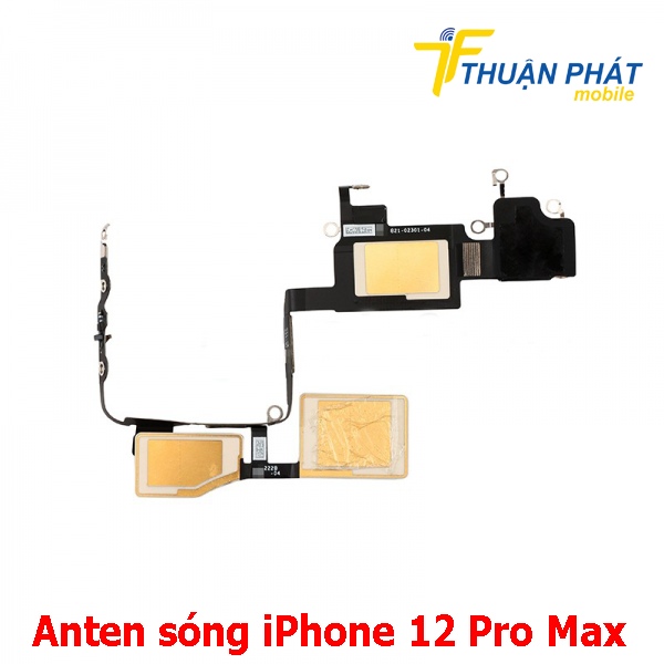 Anten sóng iPhone 12 Pro Max