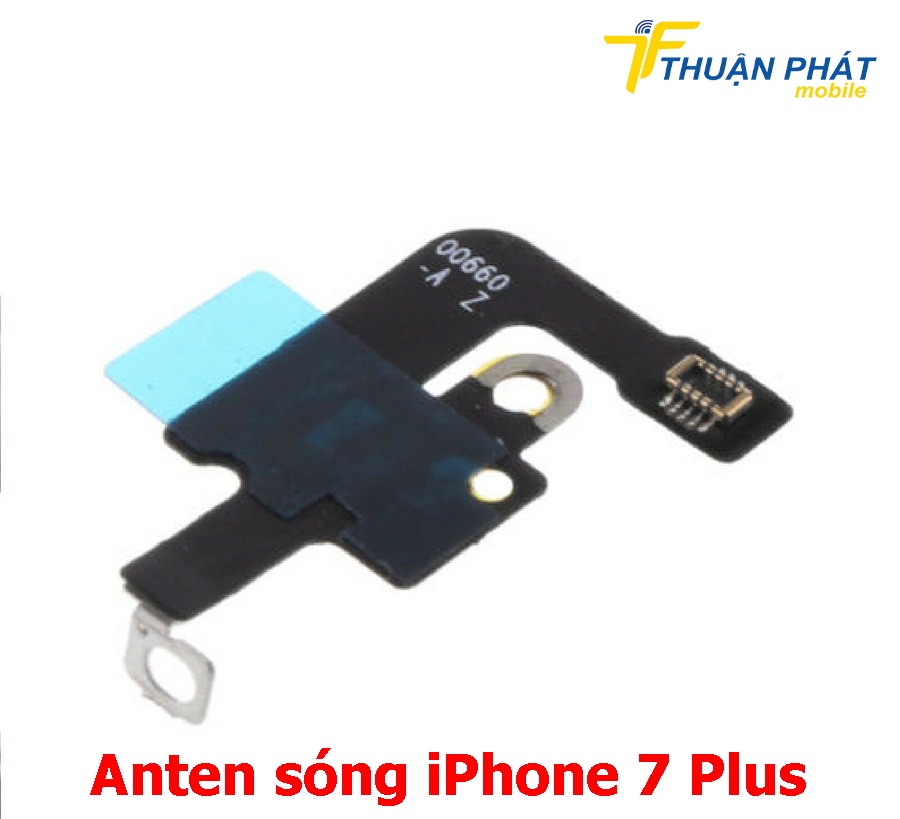 Anten sóng iPhone 7 Plus