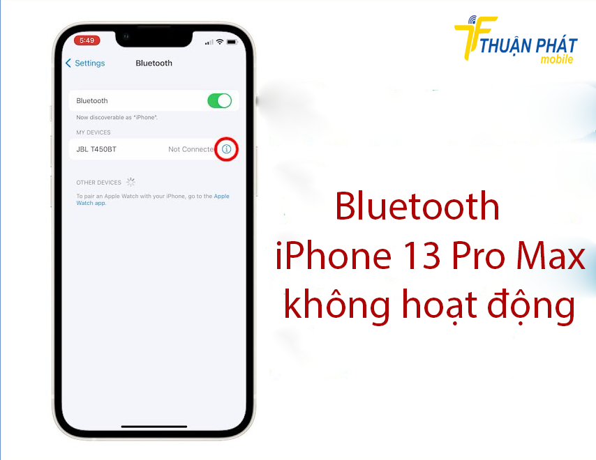 Bluetooth iPhone 13 Pro Max không hoạt động Bluetooth iPhone 13 Pro Max không hoạt động