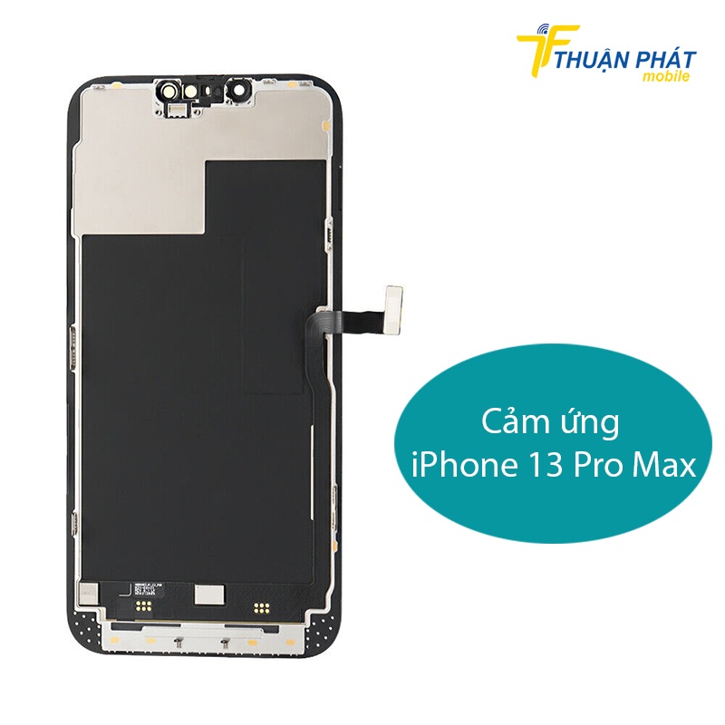 Cảm ứng iPhone 13 Pro Max