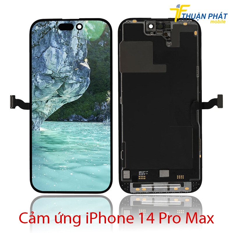 Cảm ứng iPhone 14 Pro Max