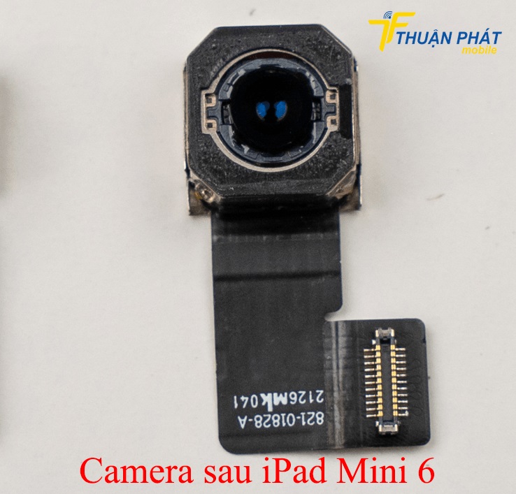 Camera sau iPad Mini 6