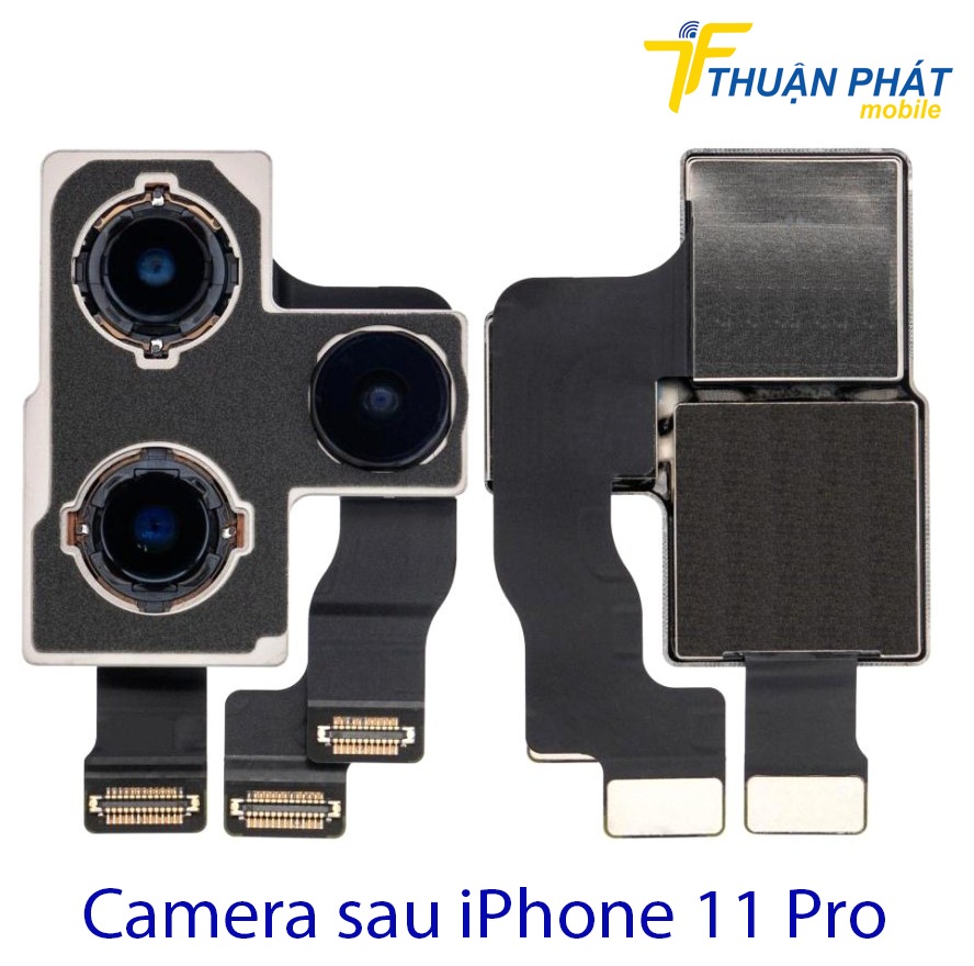 Camera sau iPhone 11 Pro