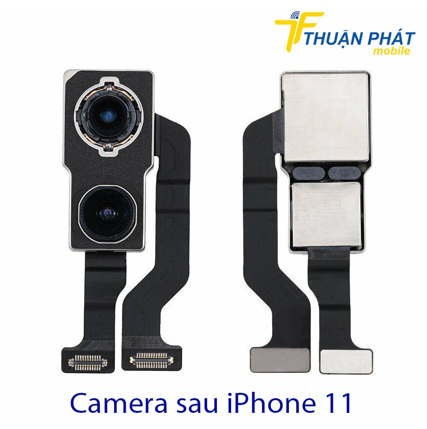 Camera sau iPhone 11