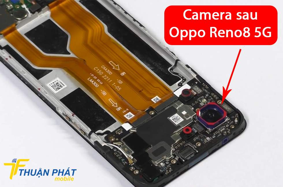 Camera sau Oppo Reno8 5G