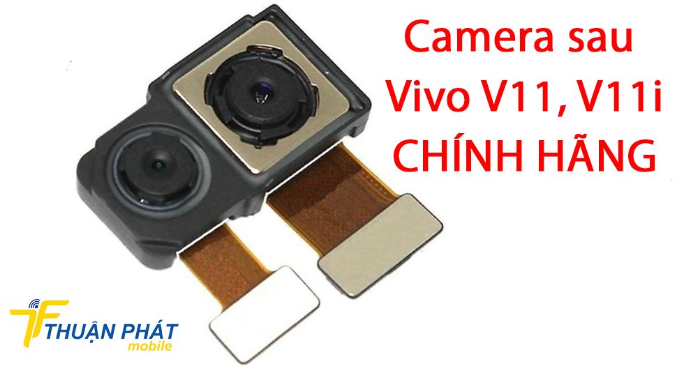 Camera sau Vivo V11, V11i chính hãng