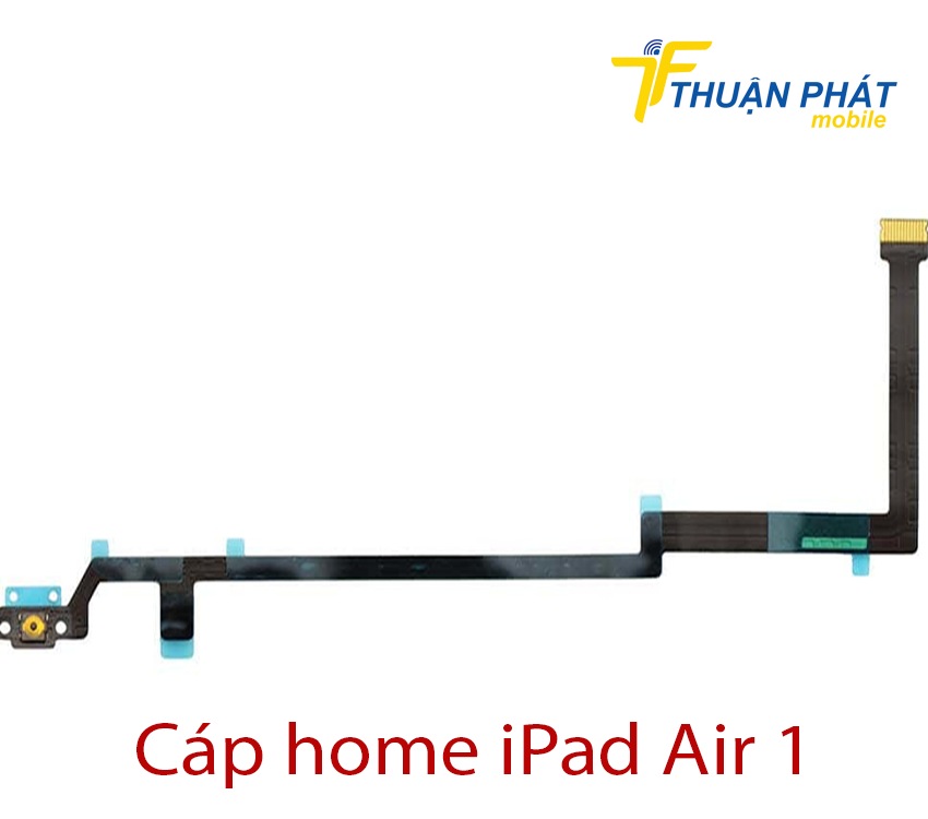 Cáp home iPad Air 1