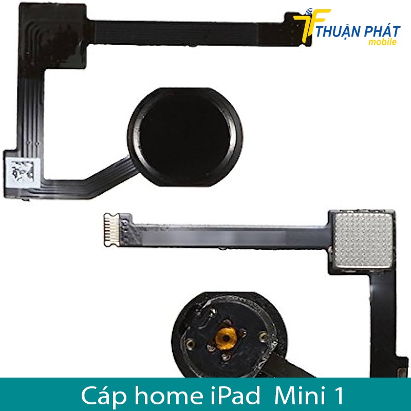 Cáp home iPad Mini 1