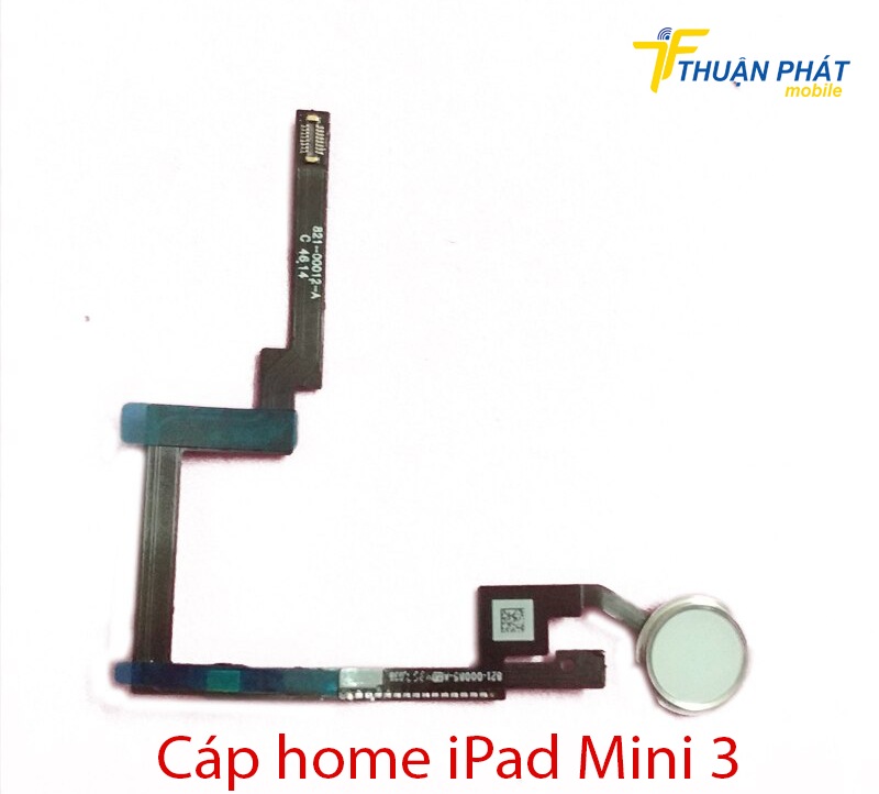 Cáp home iPad Mini 3