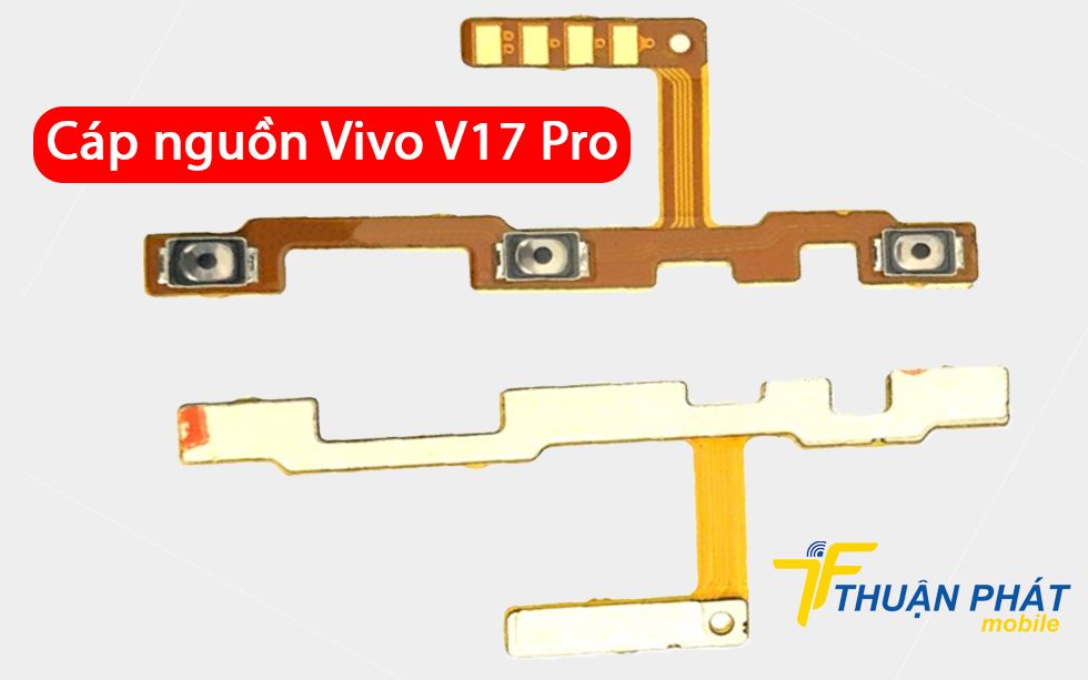 Cáp nguồn Vivo V17 Pro