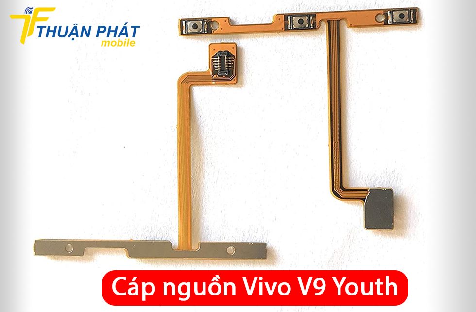 Cáp nguồn Vivo V9 Youth