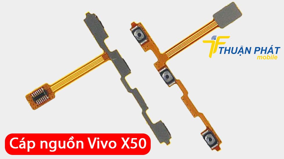 Cáp nguồn Vivo X50