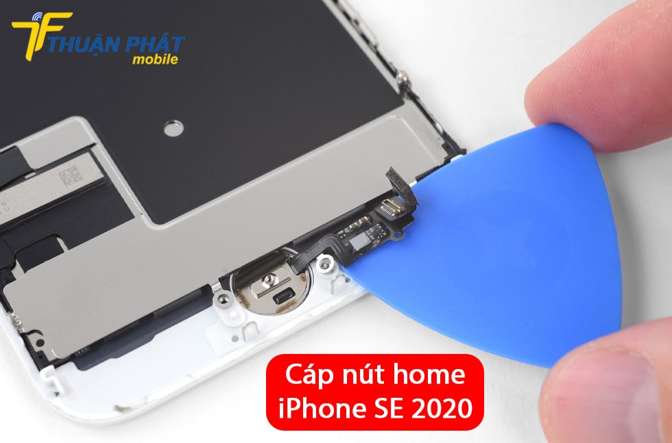 Cáp nút home iPhone SE 2020